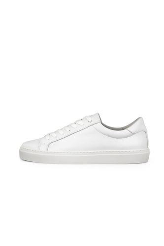 DIGEL Summer 46