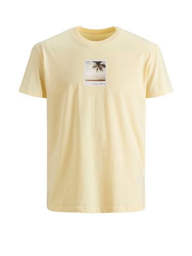 ONLY CARMAKOMA JACK&JONES JORDYLANT TEE SS CREW NECK Default Title