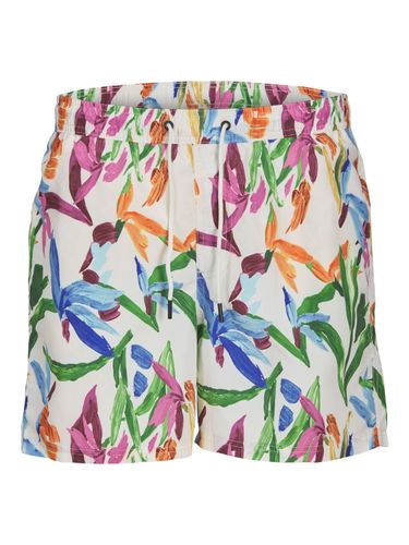 JACK & JONES JACK&JONES JPSTFIJI JJSWIM AOP ORIGINALS LY PLS